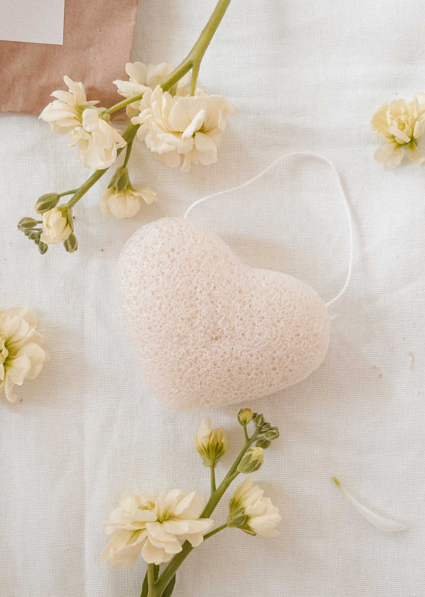 Mimi & August - Cleansing Konjac Sponge - Pure White