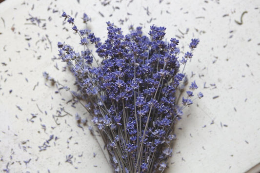 Lake House Lavender
